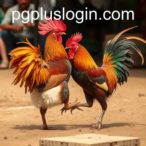 Cockfighting: An Age-Old Tradition Under Scrutiny